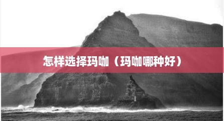 怎样选择玛咖（玛咖哪种好）