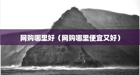 网购哪里好（网购哪里便宜又好）