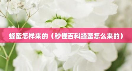 蜂蜜怎样来的（秒懂百科蜂蜜怎么来的）