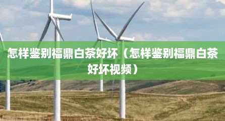 怎样鉴别福鼎白茶好坏（怎样鉴别福鼎白茶好坏视频）