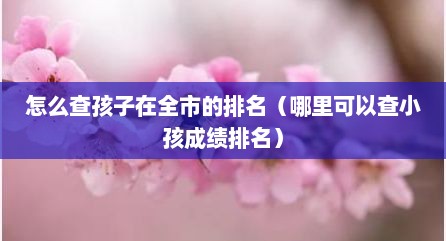 怎么查孩子在全市的排名（哪里可以查小孩成绩排名）