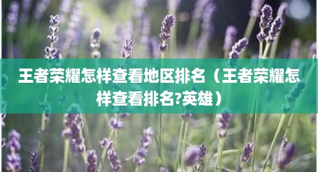 王者荣耀怎样查看地区排名（王者荣耀怎样查看排名?英雄）