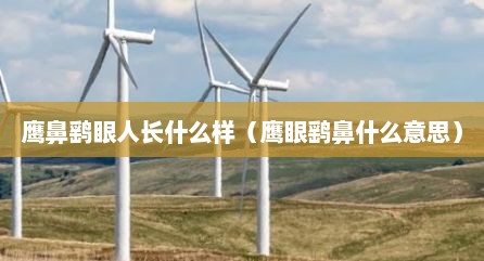 鹰鼻鹞眼人长什么样（鹰眼鹞鼻什么意思）