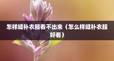 怎样缝补衣服看不出来（怎么样缝补衣服好看）