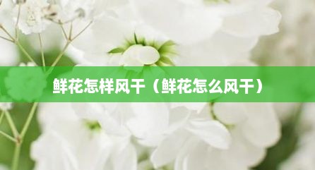鲜花怎样风干（鲜花怎么风干）