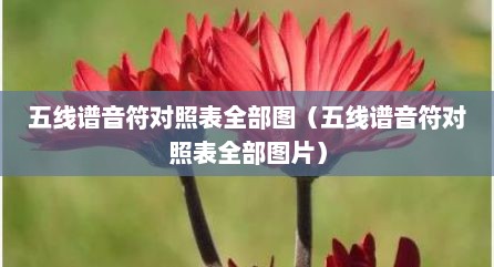 五线谱音符对照表全部图（五线谱音符对照表全部图片）