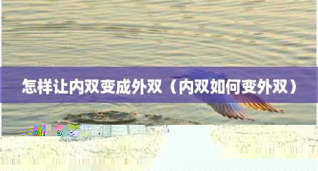 怎样让内双变成外双（内双如何变外双）