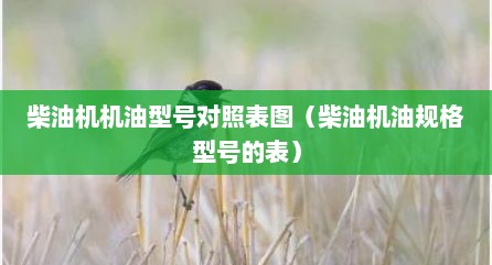 柴油机机油型号对照表图（柴油机油规格型号的表）
