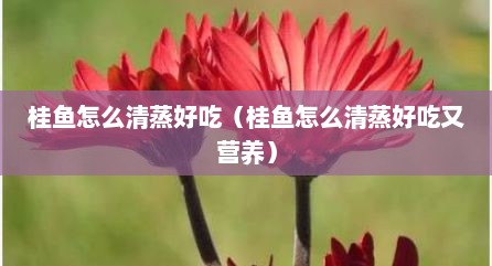 桂鱼怎么清蒸好吃（桂鱼怎么清蒸好吃又营养）