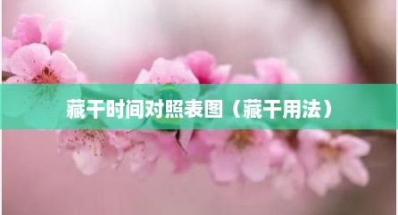 藏干时间对照表图（藏干用法）