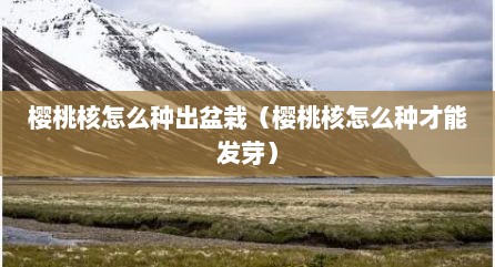 樱桃核怎么种出盆栽（樱桃核怎么种才能发芽）
