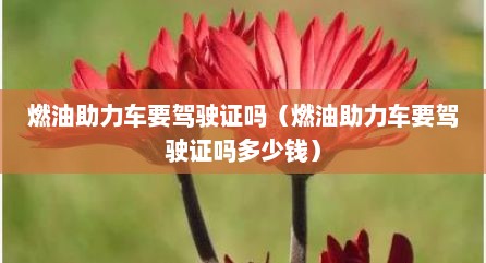 燃油助力车要驾驶证吗（燃油助力车要驾驶证吗多少钱）