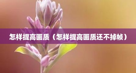 怎样提高画质（怎样提高画质还不掉帧）