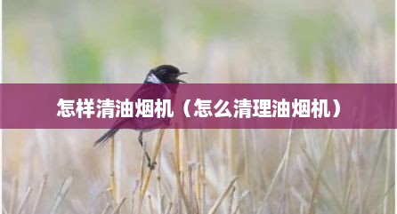 怎样清油烟机（怎么清理油烟机）