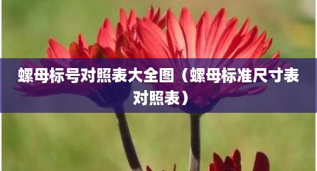 螺母标号对照表大全图（螺母标准尺寸表 对照表）