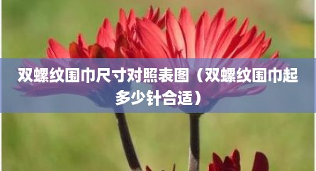 双螺纹围巾尺寸对照表图（双螺纹围巾起多少针合适）