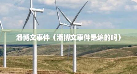 潘博文事件（潘博文事件是编的吗）