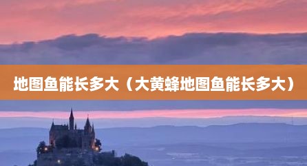 地图鱼能长多大（大黄蜂地图鱼能长多大）
