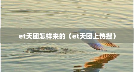 et天团怎样来的（et天团上热搜）