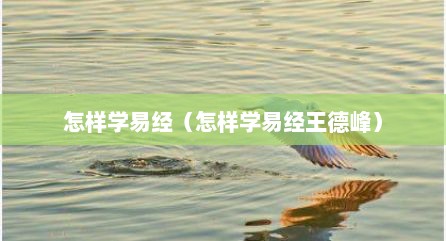 怎样学易经（怎样学易经王德峰）