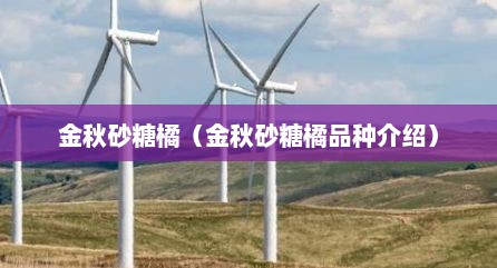 金秋砂糖橘（金秋砂糖橘品种介绍）