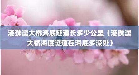 港珠澳大桥海底隧道长多少公里（港珠澳大桥海底隧道在海底多深处）