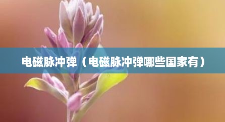 电磁脉冲弹（电磁脉冲弹哪些国家有）