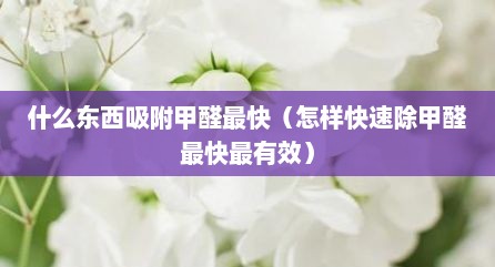什么东西吸附甲醛最快（怎样快速除甲醛最快最有效）