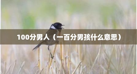 100分男人（一百分男孩什么意思）