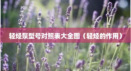 轻烃泵型号对照表大全图（轻烃的作用）
