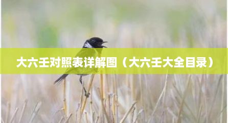 大六壬对照表详解图（大六壬大全目录）