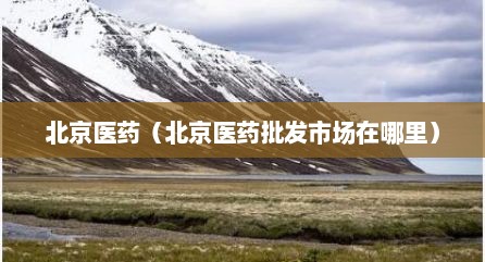 北京医药（北京医药批发市场在哪里）