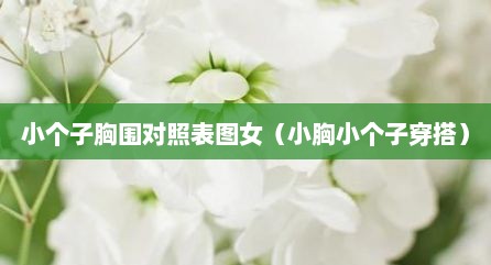 小个子胸围对照表图女（小胸小个子穿搭）