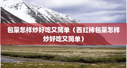 包菜怎样炒好吃又简单（西红柿包菜怎样炒好吃又简单）