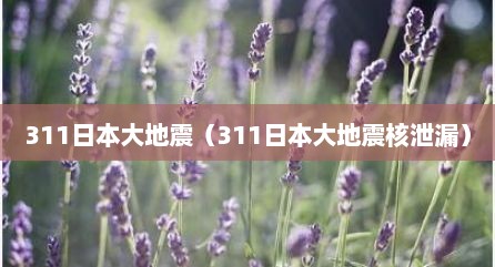 311日本大地震（311日本大地震核泄漏）