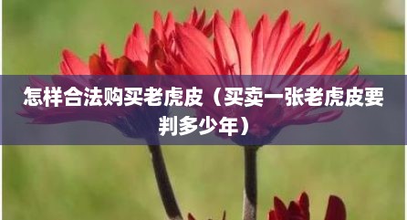 怎样合法购买老虎皮（买卖一张老虎皮要判多少年）