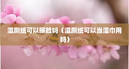 湿厕纸可以擦脸吗（湿厕纸可以当湿巾用吗）