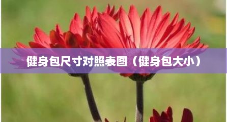健身包尺寸对照表图（健身包大小）