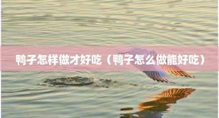 鸭孑怎样做才好吃（鸭子怎么做能好吃）