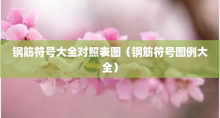 钢筋符号大全对照表图（钢筋符号图例大全）