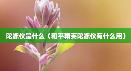 陀螺仪是什么（和平精英陀螺仪有什么用）