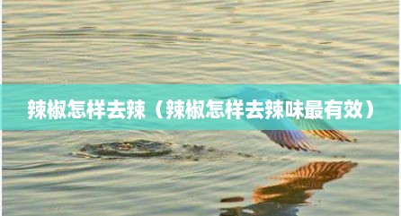 辣椒怎样去辣（辣椒怎样去辣味最有效）
