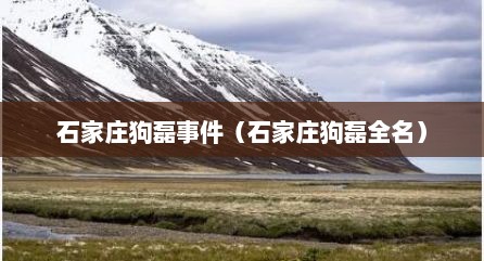 石家庄狗磊事件（石家庄狗磊全名）