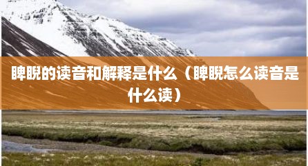 睥睨的读音和解释是什么（睥睨怎么读音是什么读）