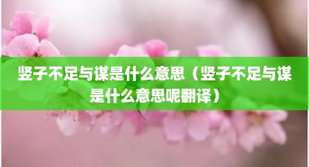 竖子不足与谋是什么意思（竖子不足与谋是什么意思呢翻译）