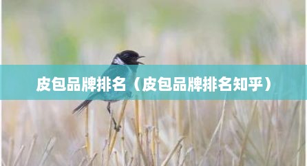 皮包品牌排名（皮包品牌排名知乎）