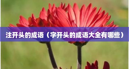 注开头的成语（字开头的成语大全有哪些）