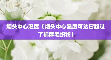 烟头中心温度（烟头中心温度可达沱超过予棉麻毛织物）