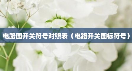 电路图开关符号对照表（电路开关图标符号）