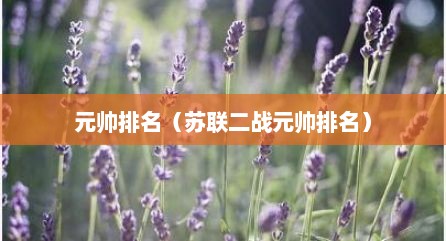 元帅排名（苏联二战元帅排名）